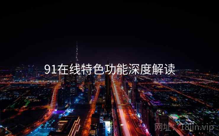 91在线特色功能深度解读