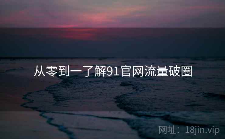 从零到一了解91官网流量破圈