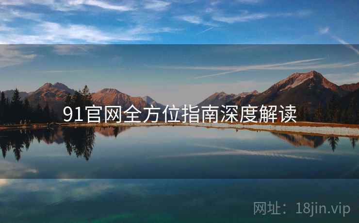 91官网全方位指南深度解读