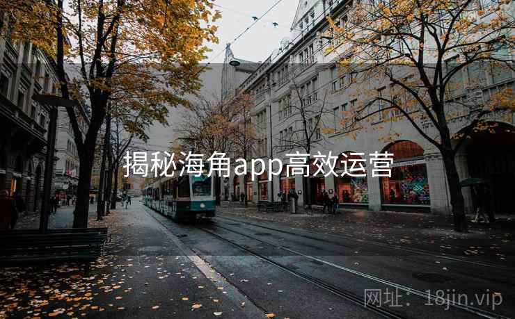 揭秘海角app高效运营