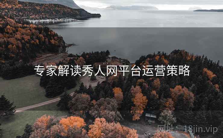 专家解读秀人网平台运营策略