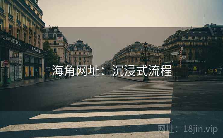 海角网址：沉浸式流程