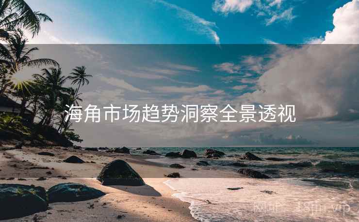 海角市场趋势洞察全景透视